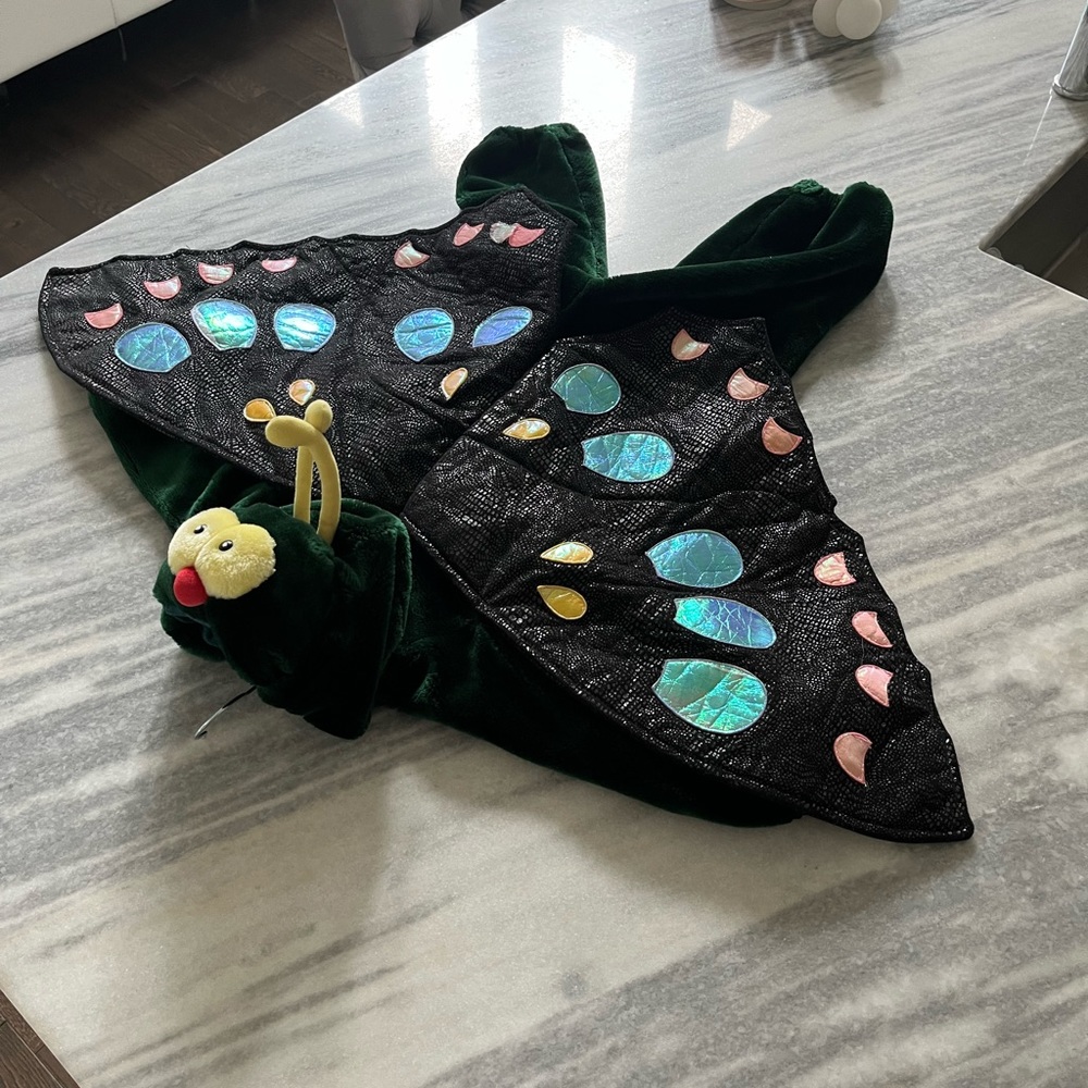 Kids Green Moth/Butterfly Costume Hoodie with Iridescent Wings